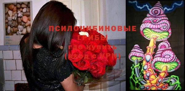 прущая мука Гусиноозёрск