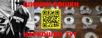тгк Бийск