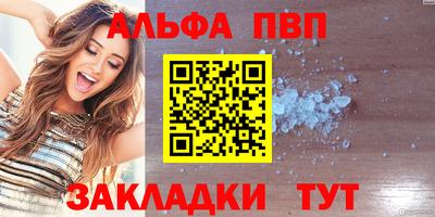 тгк Бийск