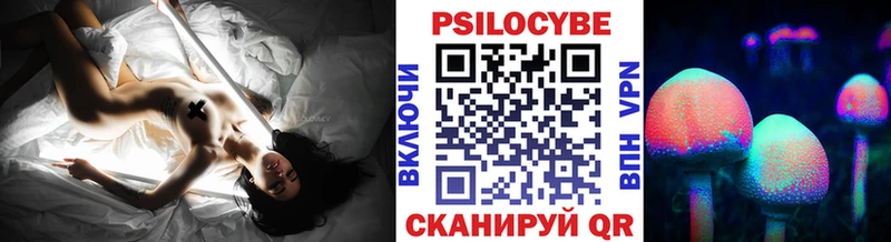 Псилоцибиновые грибы Psilocybe  Дубна 