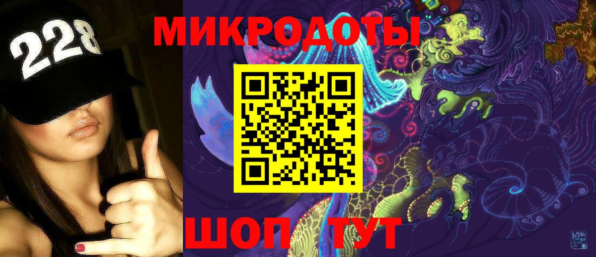 Галлюциногенные грибы Cubensis Дубна