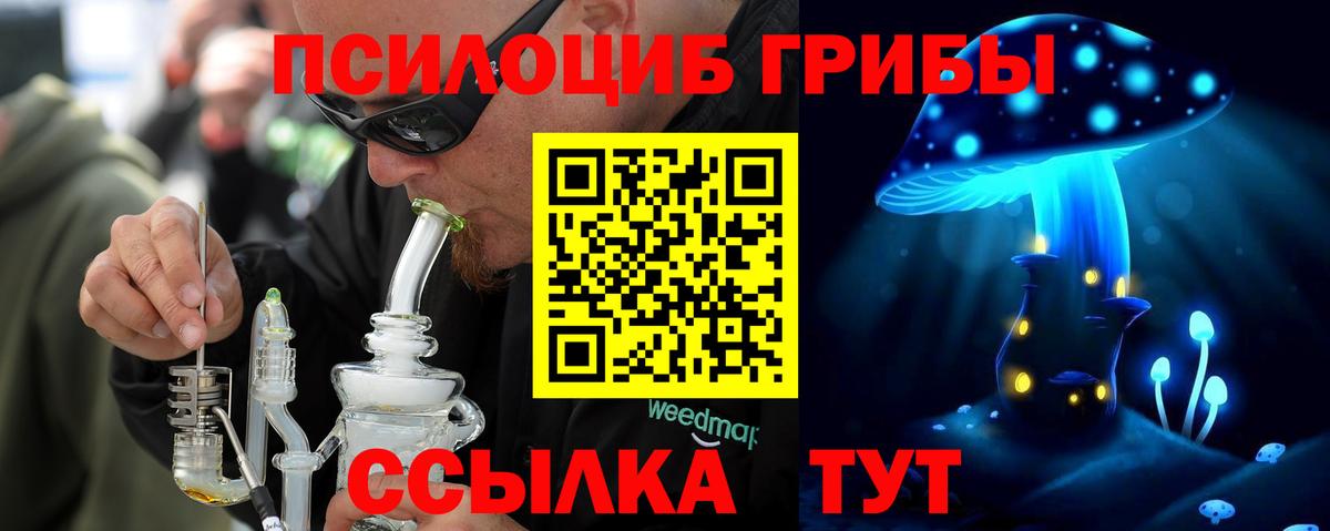 Дубна  Галлюциногенные грибы MAGIC MUSHROOMS  сколько стоит  Вход с VPN 